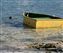 YellowDingy